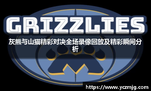 灰熊与山猫精彩对决全场录像回放及精彩瞬间分析